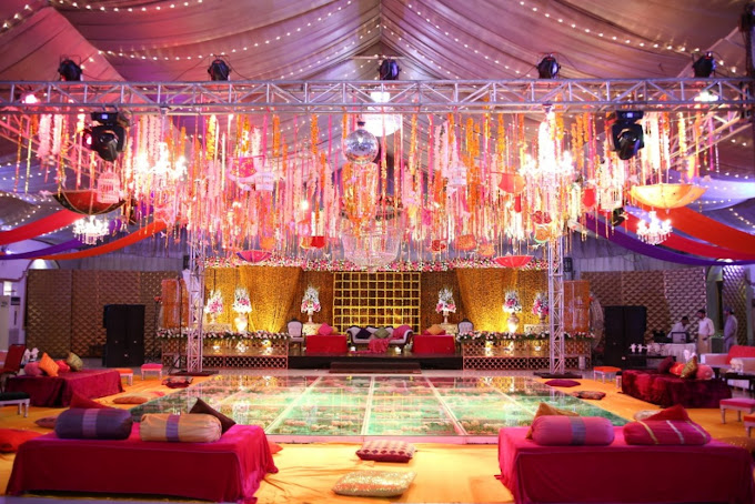 Cover image of Orchid Marquees