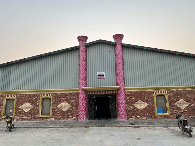 Cover image of Liberty Castle