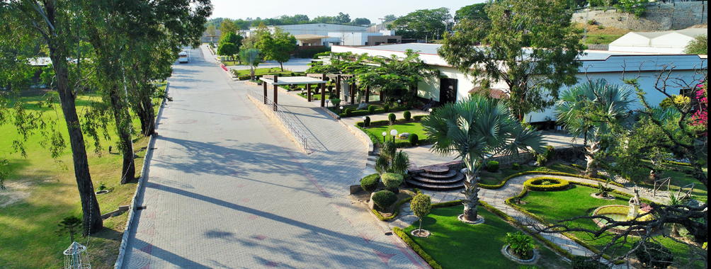 Cover image of Topi Rakh