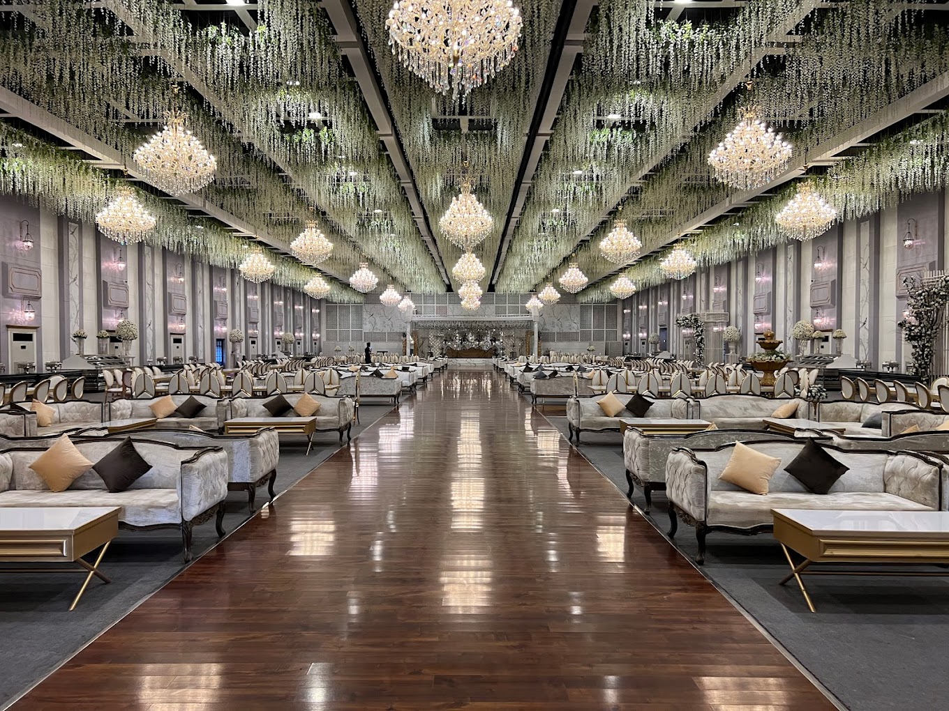 Profile image of Royal Palm